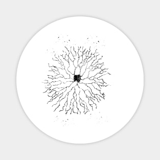 Starburst neuron Magnet